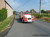 Zandlemig Vlaanderen